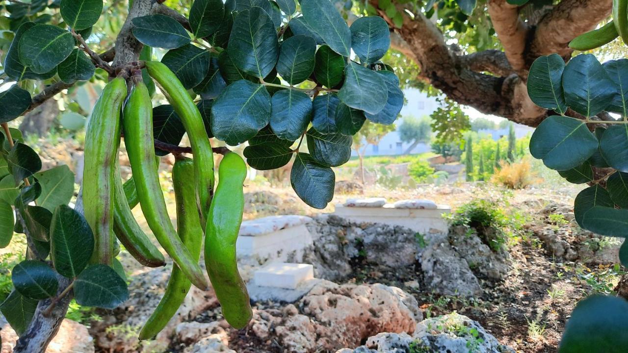 I Due Carrubi Villa Ostuni Dış mekan fotoğraf